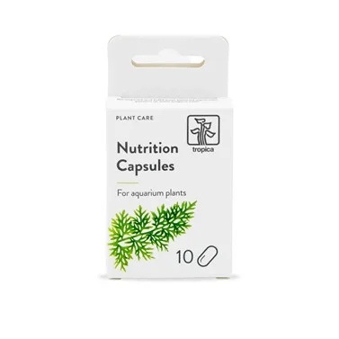 Nutrition Capsules 10 st