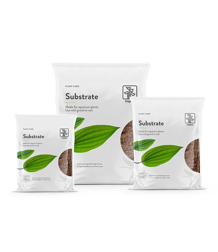 Substrate 1 L 3