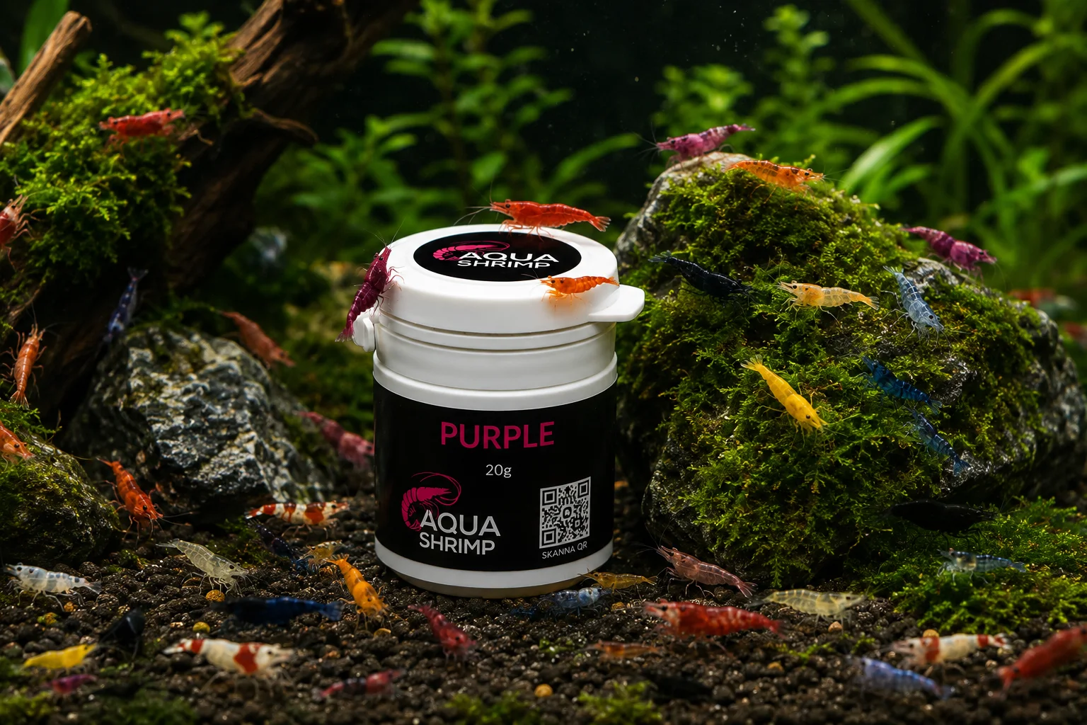 Purple - Pigmentfoder 2