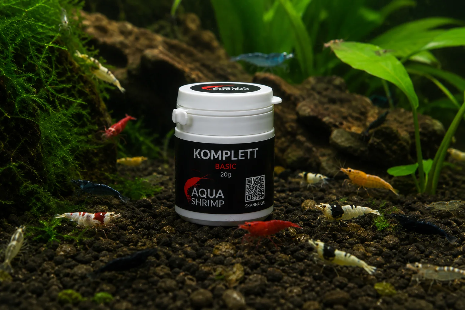 Komplett Basic 3