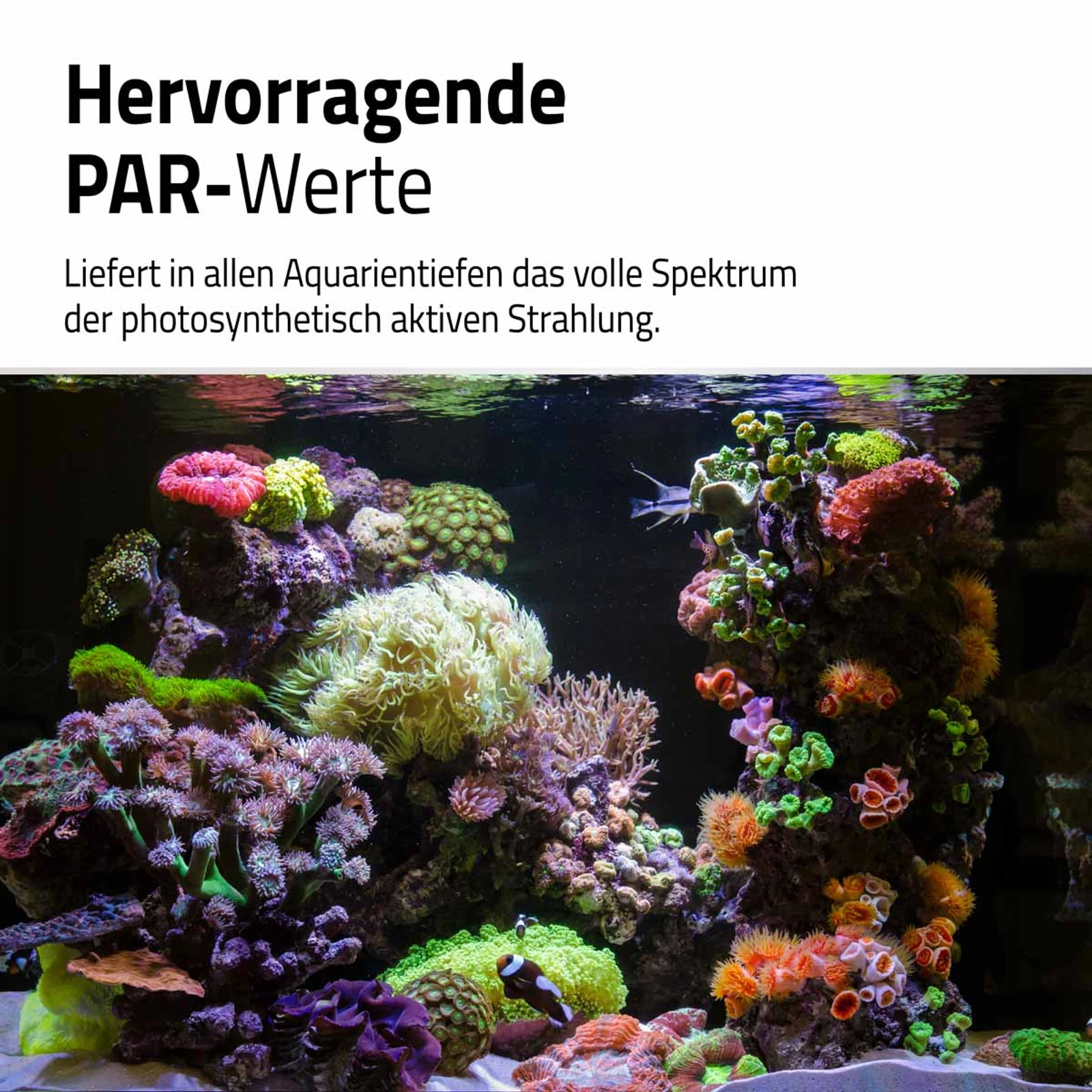 Fluval Reef LED 4.0 46 W 88,2–125,8 cm 5
