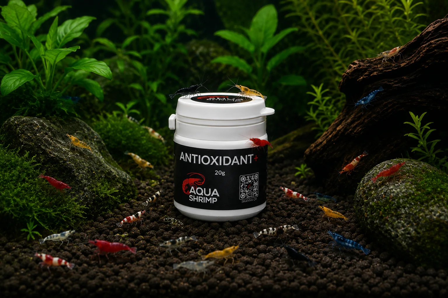 Antioxidant + 3