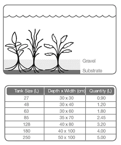 Substrate 5 L 2
