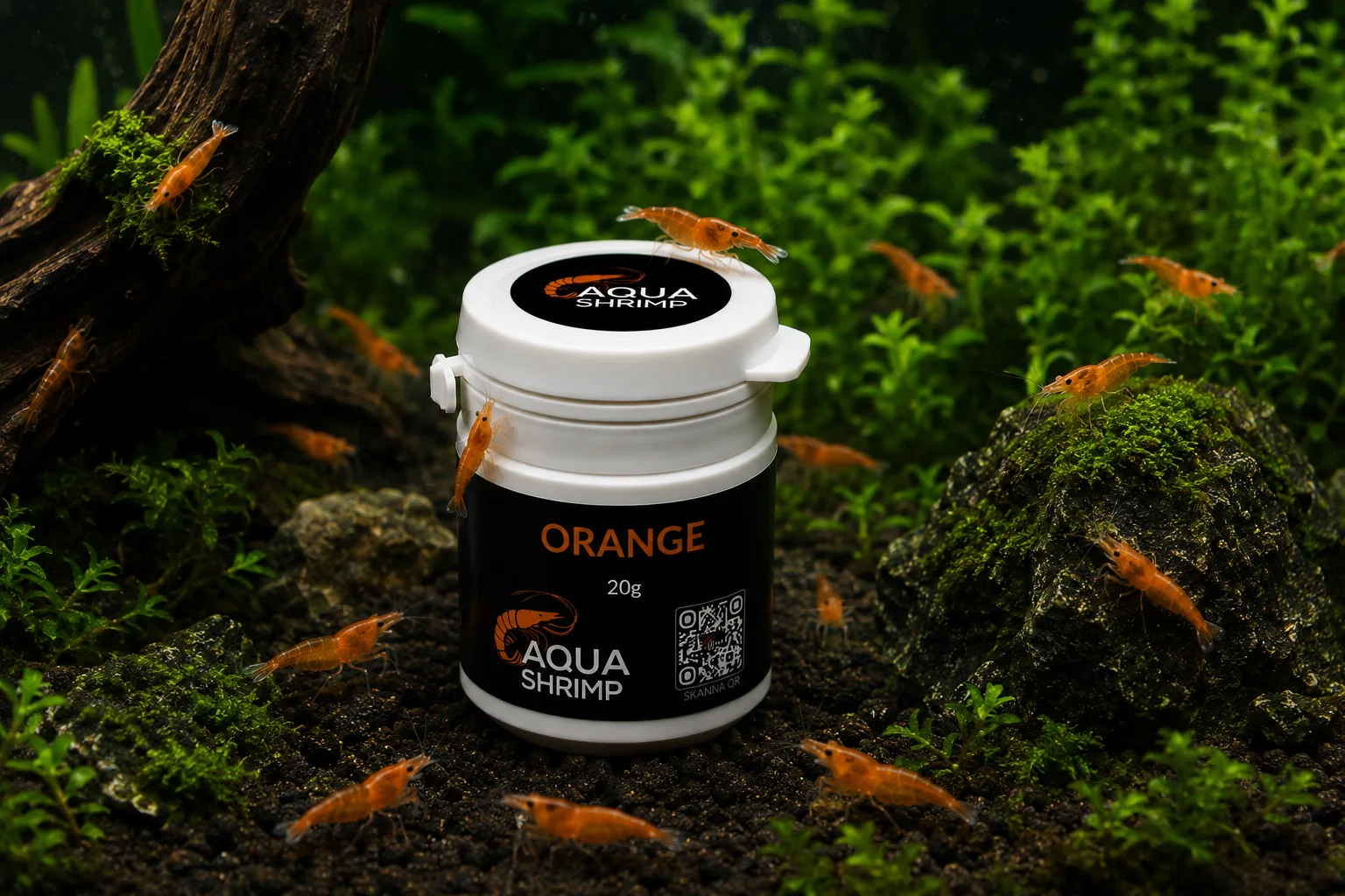 Orange - Pigmentfoder 2