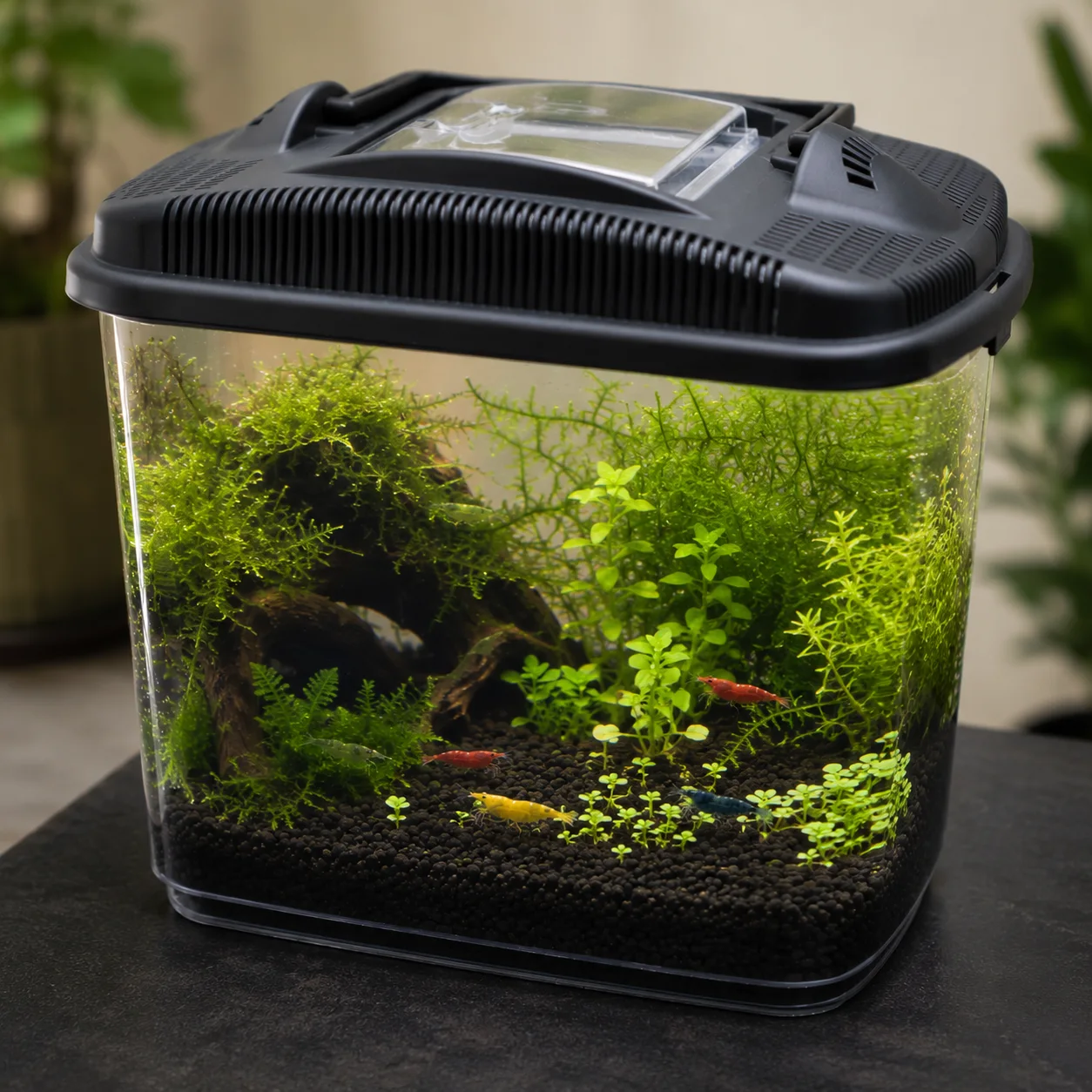 Nano Akvarium för räkor -  3l 3