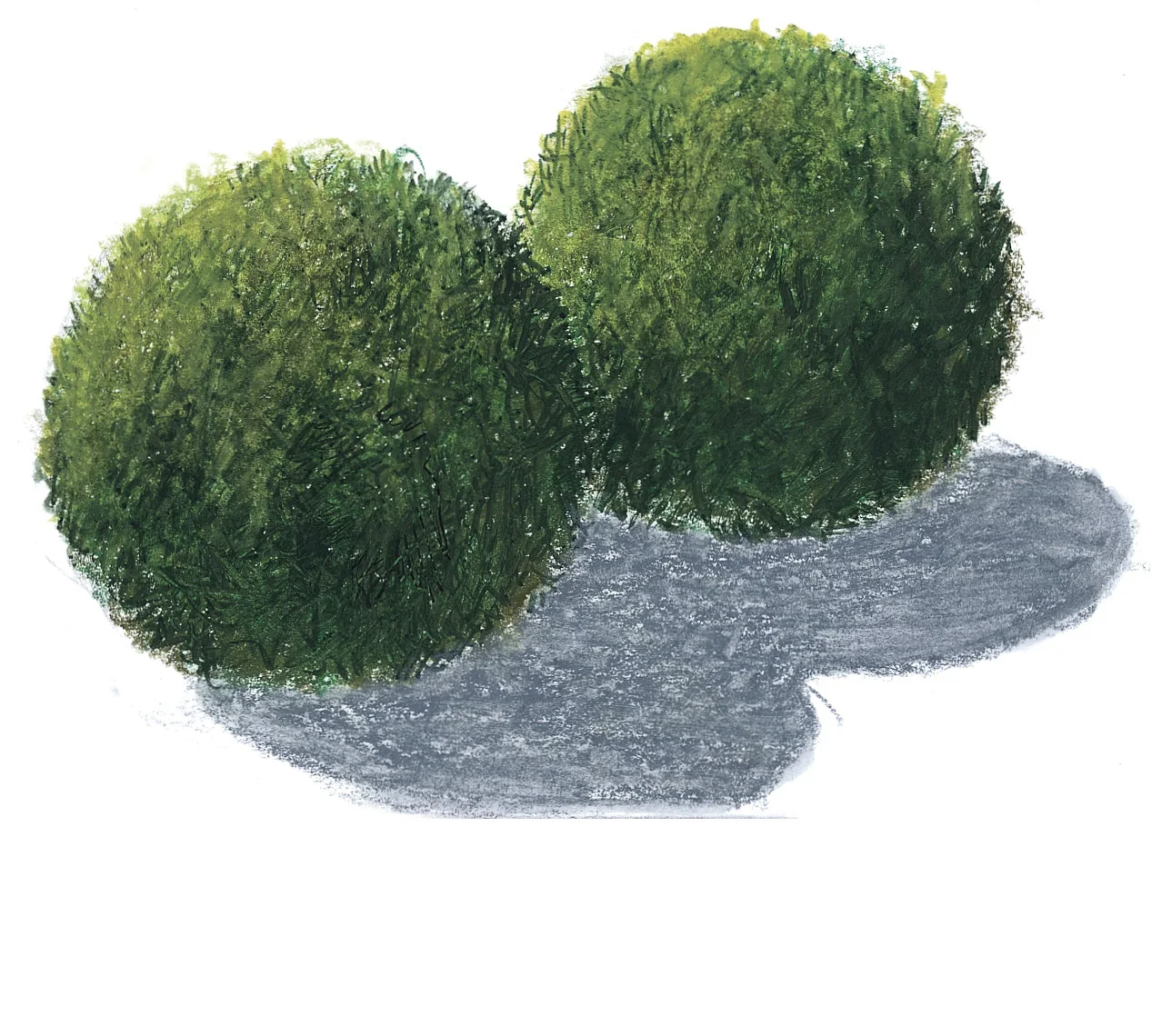 Mossboll M 2