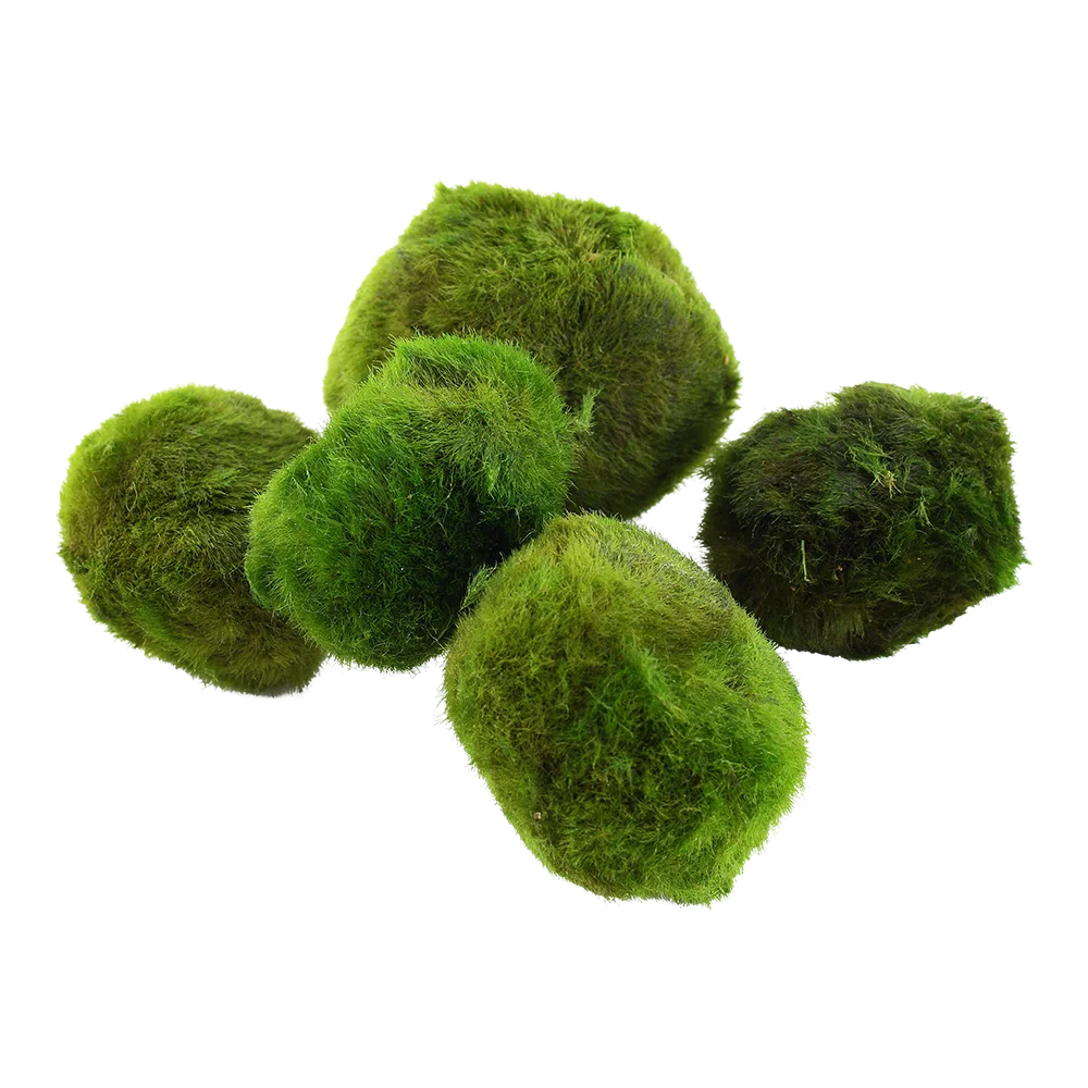 Mossboll M 3
