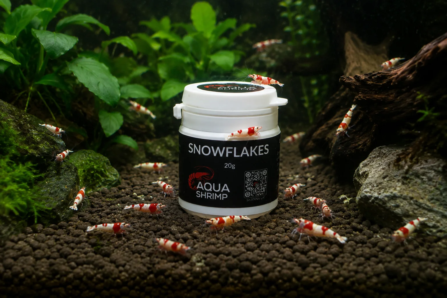 Snowflakes 2
