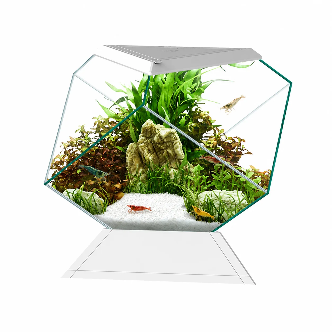 Akvarium Nexus vitt Ciano 2
